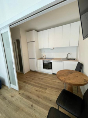 Vintage Apartment Ostrava center city Ostrava